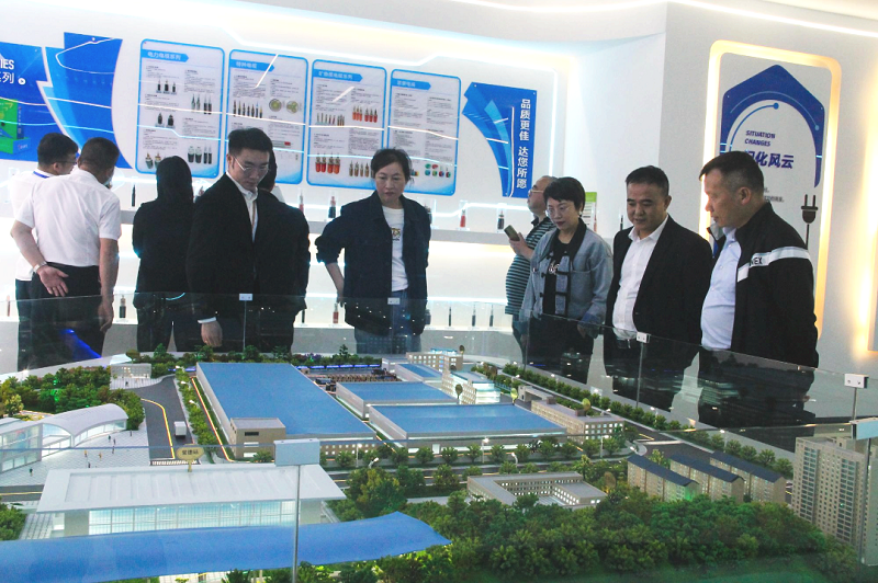 黄瓜视频WWW.XY17APP电缆有限公司,黄瓜视频WWW.XY17APP电缆,湖南黄瓜视频WWW.XY17APP，