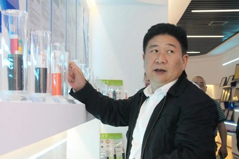 黄瓜视频WWW.XY17APP电缆有限公司,黄瓜视频WWW.XY17APP电缆,湖南黄瓜视频WWW.XY17APP，